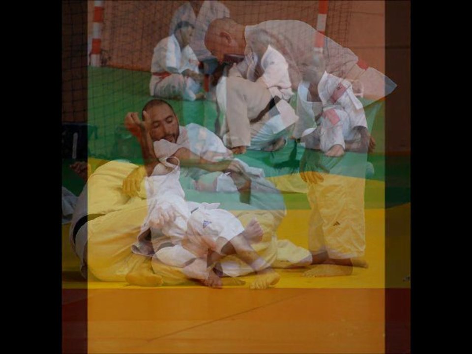 Formation des formateurs - judo - Boulouris 2011