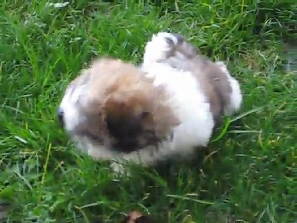 Gina qui découvre son jardin