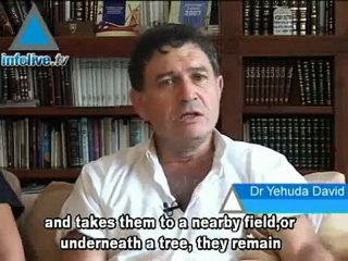 A Hero's Story - The Second Lebanon War