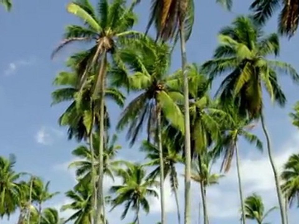 The Weeknd - Wicked Games