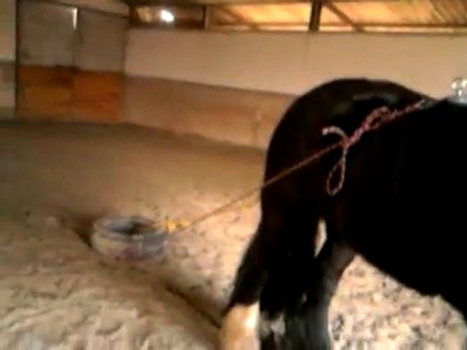 Betty sait rendre service !!!