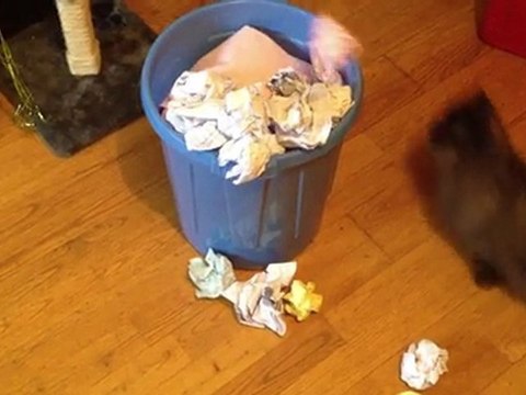 Entreprise En Vie Dijon 2012 – Pericard.PC