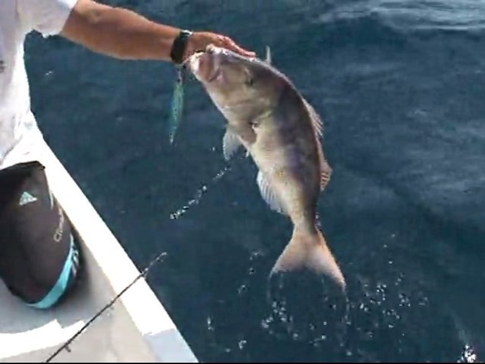 ANTALYA ADRASAN BALIK AVI TURUNDA JİGGİNG İLE SİNARİT AVI - www.adrasanbalik.com