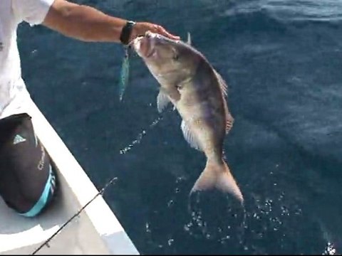 ANTALYA ADRASAN BALIK AVI TURUNDA JİGGİNG İLE SİNARİT AVI - adrasanbalik.com