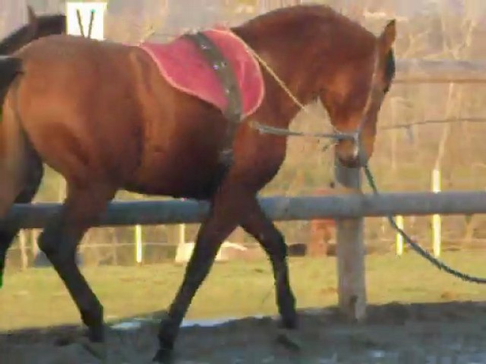 vistoso longe janvier 2010