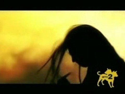 Shadows Fall _ In Effigy