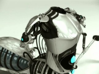 anim meca Anache laurie