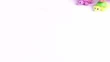 race_s