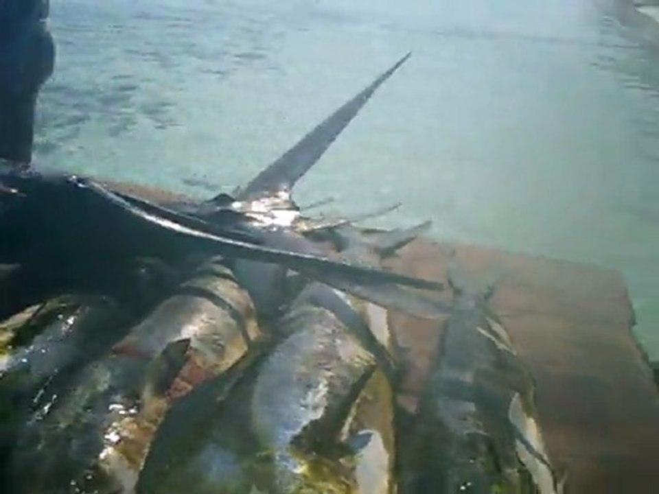 Malediven 055