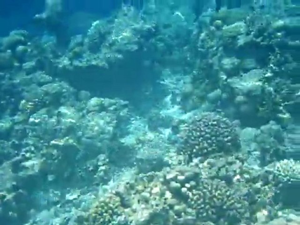 Malediven 044