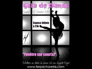 "Fenêtre sur cour(s)" 21/01/12 : final du spectacle