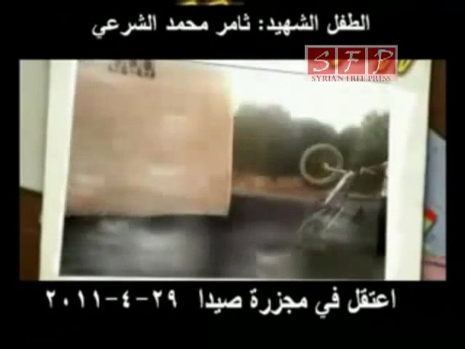 الشهيد ثامر محمد الشرعي
