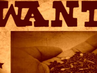 Action Semences Libres