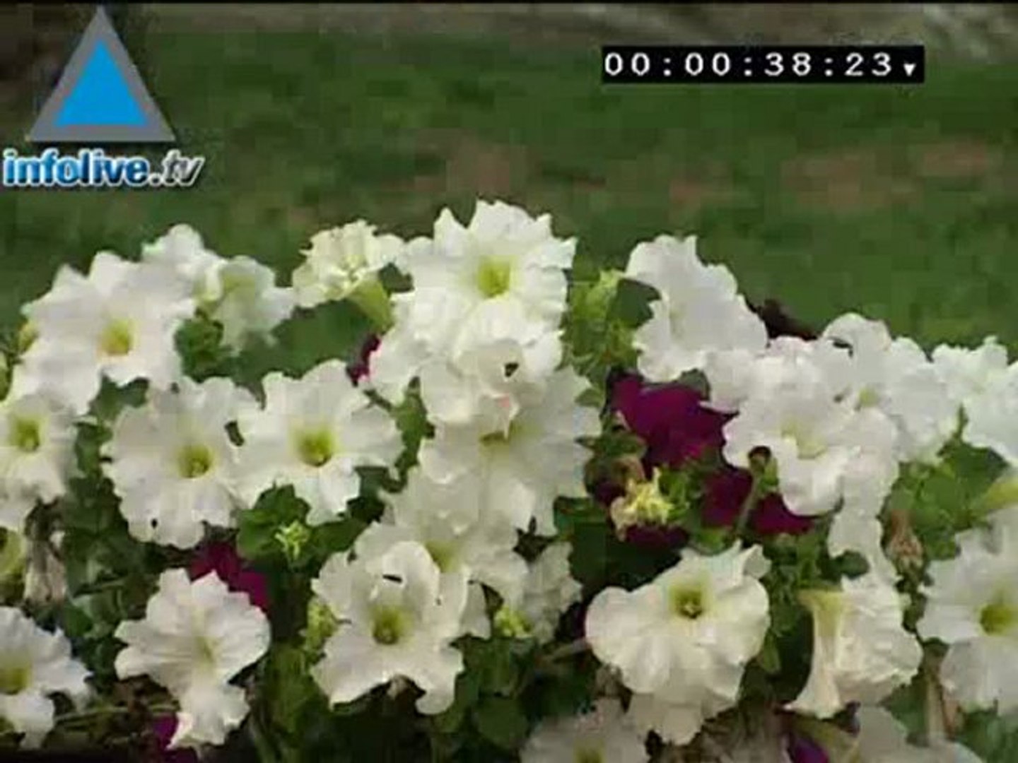 ⁣Infolive.tv. minute - Kibbutz Kfar Aza