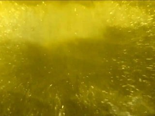 Tangerine Dream. Stranded Without Shade.