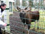 Belarus Kursiyer Gezileri - Brest Hayvanat Bahçesi
