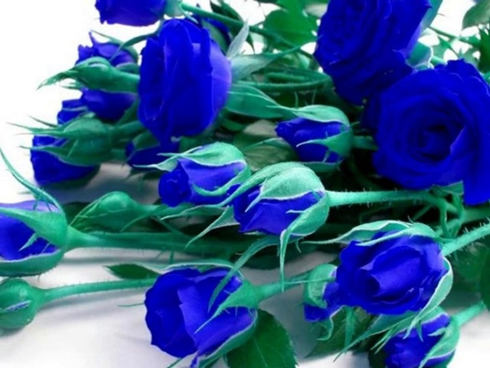 PhotoStory1  Grażynce