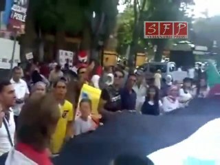 ايطاليا مظاهرة الجالية السورية بميلانو ضد بشار 12-7-2011