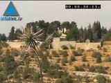 Infolive.tv Minute - a paradise in Jerusalem