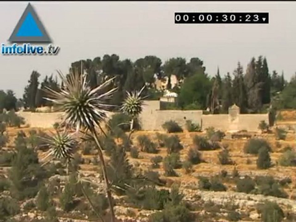 Infolive.tv Minute - a paradise in Jerusalem