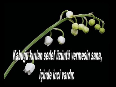 MEVLANA-OSMAN ÖZTUNÇ