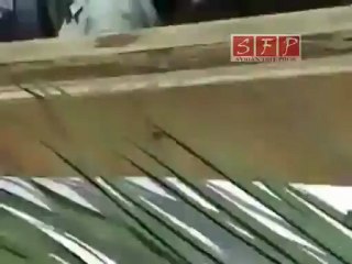 حمص الخالدية تشييع احد الشهداء من جامع التقوى 20-7-2011