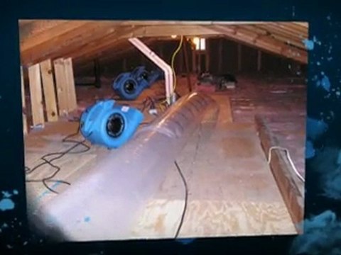 True Clean Carpet Care (308) 534-1688