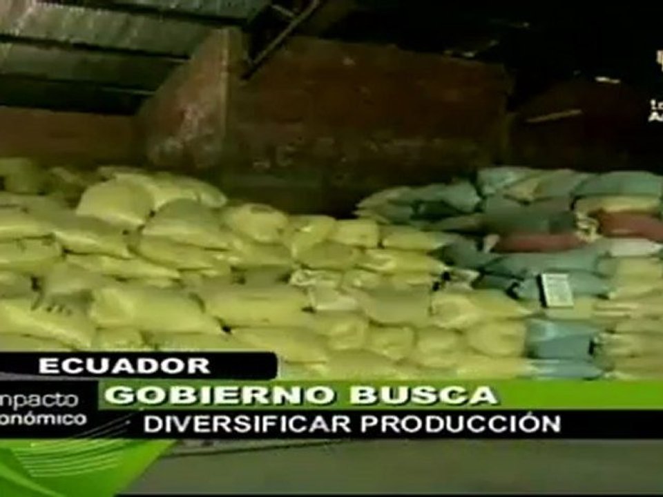 Ecuador busca la diversificación productiva