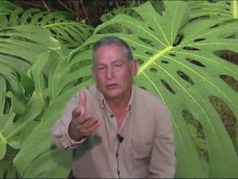 MI ATOTONILCO BONITO por Gustavo Sanchez Alvarez. enero 23 del 2012