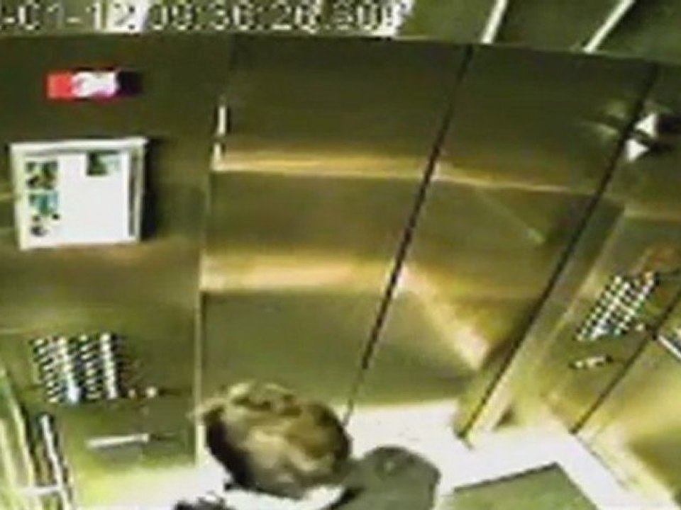 Accident de chien dans un ascenseur