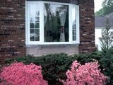 Cost of replacement windows NJ