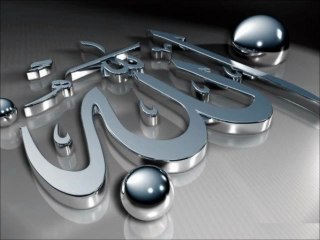 عبد الحميد كشك