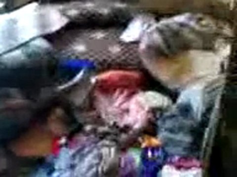 فري برس دوما مداهمة وتكسير أحد المزارع بطريق المكاسر 05 10 2011 ج2