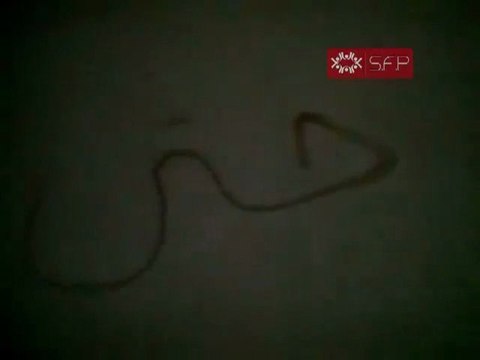 فري برس خربة غزالة حملة الرجل البخاخ مدرسة الابتدائي الأحد 9 10 2011