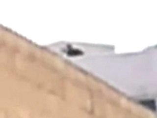 فري برس   حماه   القصور   11 11 2011 ج2