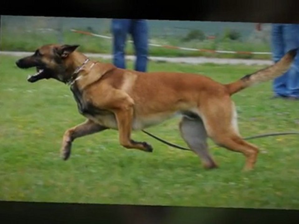 Be Aware Barnaba - Trainingsimpressionen