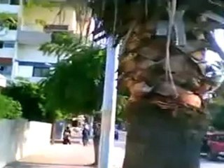 فري برس   بانياس   دورية امن في شوارع المدينة 21 11 2011