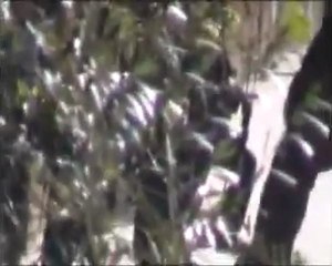 فري برس   حمص حي الخالدية اعتقال العشرات من شباب الحي 27 11 2011 ج2