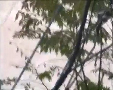 فري برس حمص حي الخالدية اقتحام المصفحات لحي الخالدية 27 11 2011