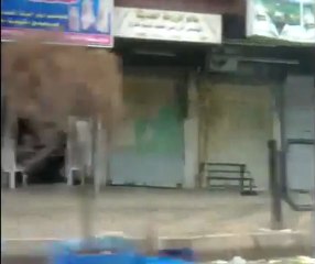 فري برس   إضراب عام بحماه تنديدا باللجنة وحدادا على الشهداء 22 1 2012 ج1