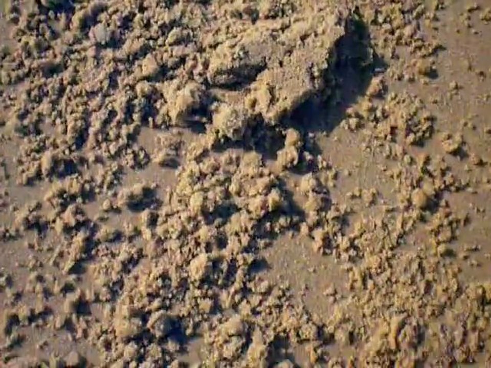 Découverte à la plage