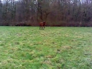 Bébou sevré 9 mois.... Et ça joue!!