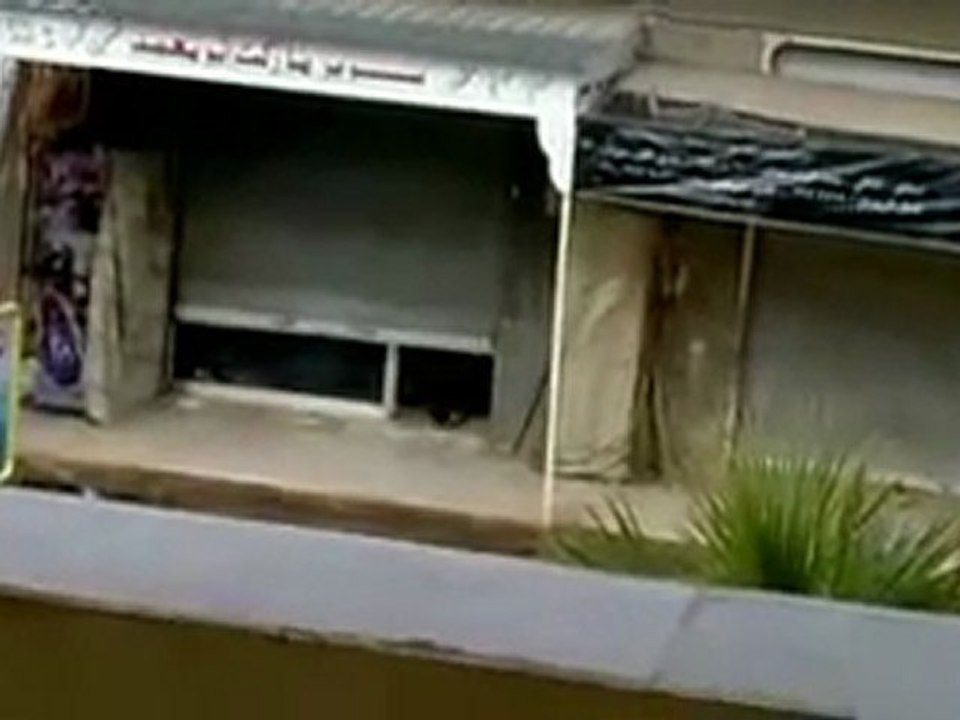 فري برس   حماة حلفايا الجيش الأسدي يسرق المحلات التجارية 29 11 2011