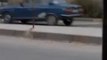 فري برس   حمص باب الدريب محاولة سحب شهيد من الشارع الذي اطلق عليه النار حاجزباب الدريب من شبيحة الاسد وهو يقود دراجة 29 11 2011