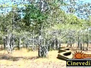 Jai Sri Krishna Episode 182_clip2