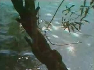 Jivan Gasparyan - Eshkhemed