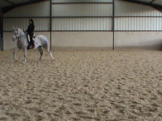 pas espagnol sur des voltes 22.01.12