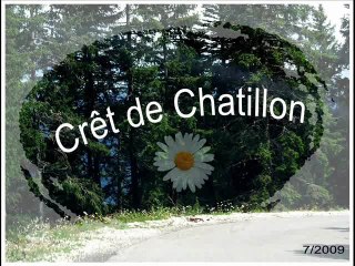 CRET DE CHATILLON 7.2009