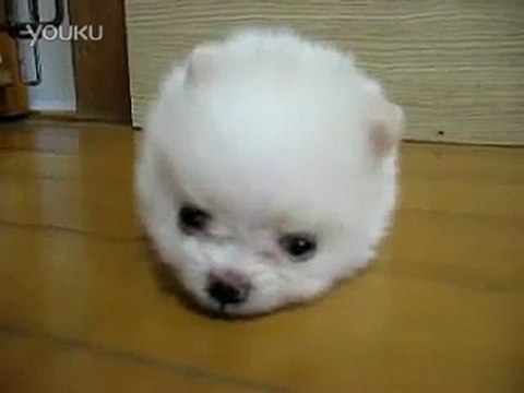 cheap louis vuitton bags (14)