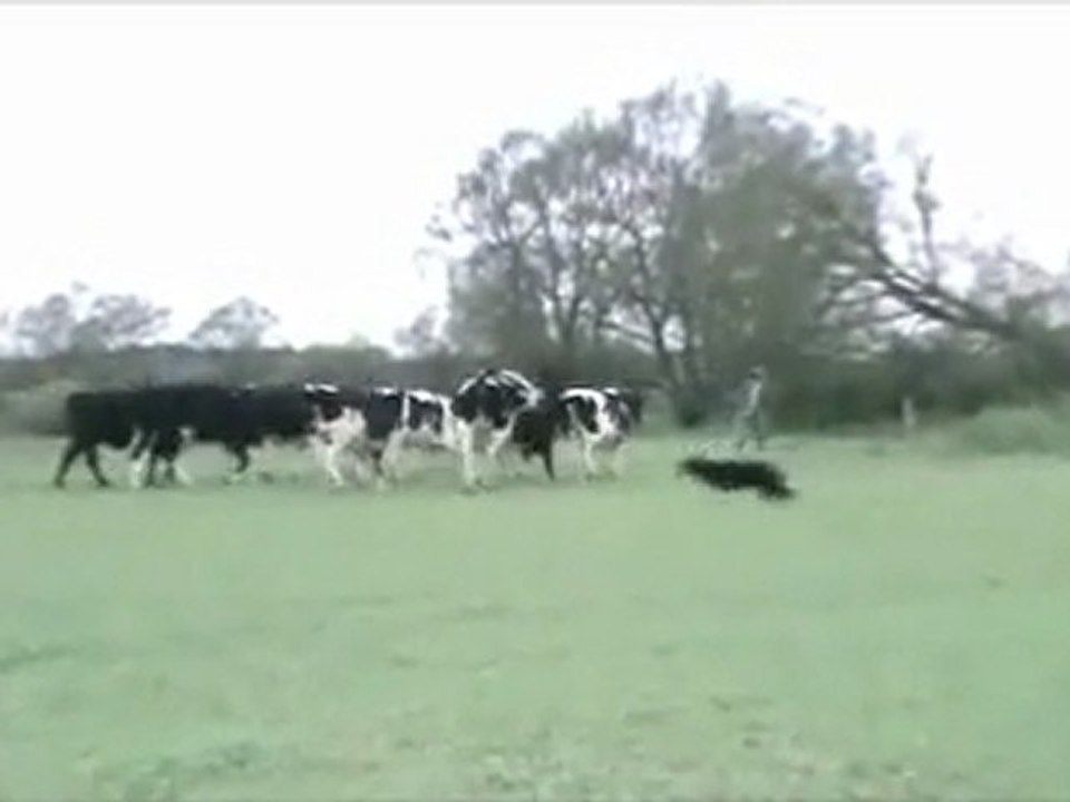 Le meilleur ami de l'agri'